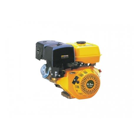 Lian Long LL168 F1 Κινητήρας Βενζίνης 4ΧΡΟΝΟΣ OHV 6,5HP με Σπείρωμα-Κώνο (137011)