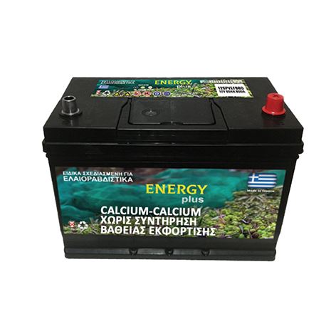 Μπαταρία βαθιάς εκφόρτισης ENERGY 80Ah + 6 ΑΤΟΚΕΣ ΔΟΣΕΙΣ