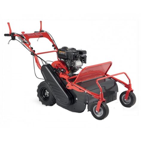 BLUE BIRD FM600 ΑΥΤΟΚΙΝΟΥΜΕΝΟΣ ΚΑΤΑΣΤΡΟΦΕΑΣ ΒΕΝΖΙΝΗΣ 7.5Hp 60cm (120883190)